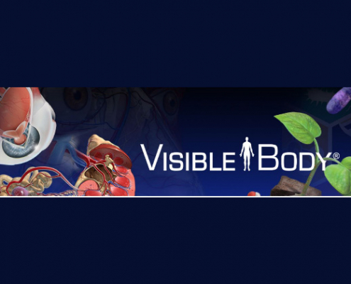 baner reklamowy Visible Body